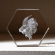 Cristal K9 hexagonal Sélection xTool